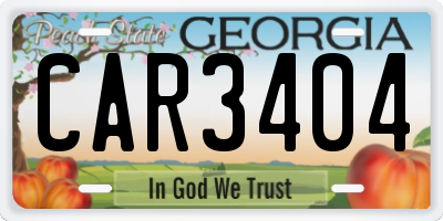 GA license plate CAR3404