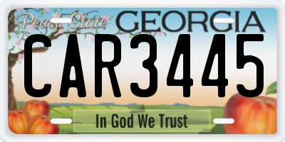 GA license plate CAR3445