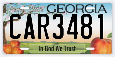 GA license plate CAR3481