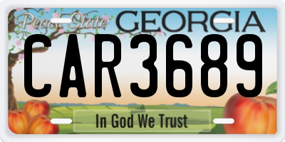 GA license plate CAR3689