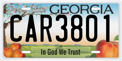 GA license plate CAR3801