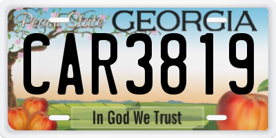 GA license plate CAR3819