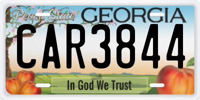 GA license plate CAR3844