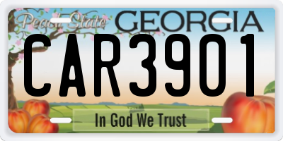 GA license plate CAR3901