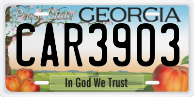GA license plate CAR3903
