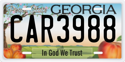 GA license plate CAR3988