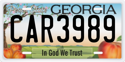 GA license plate CAR3989