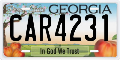 GA license plate CAR4231