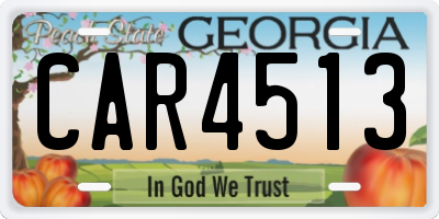 GA license plate CAR4513
