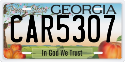 GA license plate CAR5307