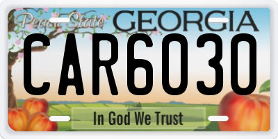 GA license plate CAR6030