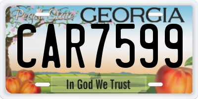 GA license plate CAR7599