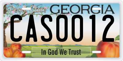 GA license plate CAS0012