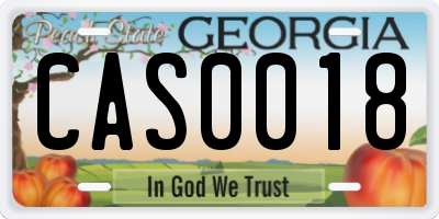 GA license plate CAS0018