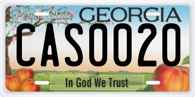 GA license plate CAS0020