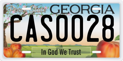 GA license plate CAS0028