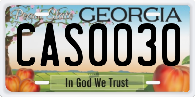 GA license plate CAS0030
