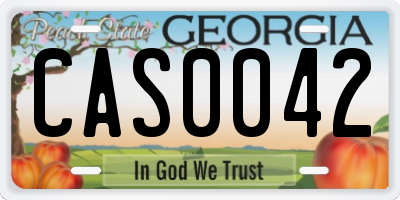 GA license plate CAS0042