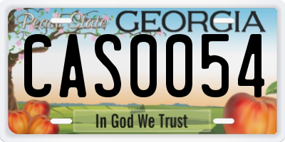 GA license plate CAS0054