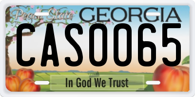 GA license plate CAS0065