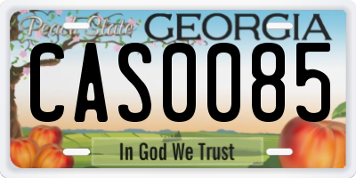 GA license plate CAS0085