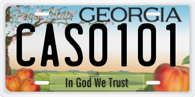 GA license plate CAS0101