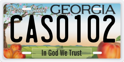 GA license plate CAS0102
