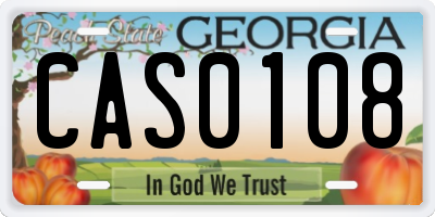 GA license plate CAS0108