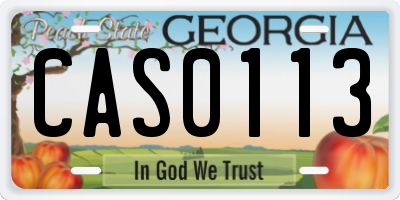 GA license plate CAS0113