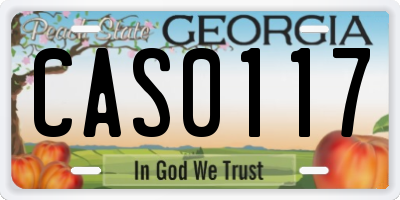 GA license plate CAS0117