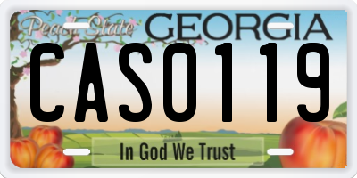 GA license plate CAS0119