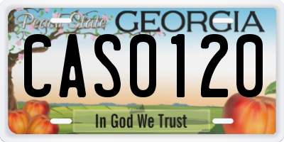 GA license plate CAS0120