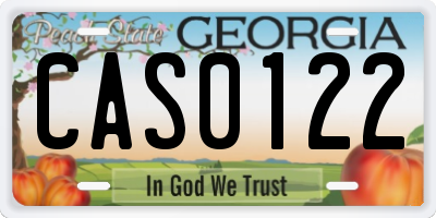 GA license plate CAS0122