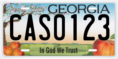 GA license plate CAS0123