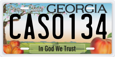 GA license plate CAS0134