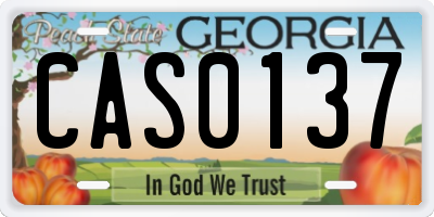 GA license plate CAS0137