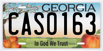 GA license plate CAS0163