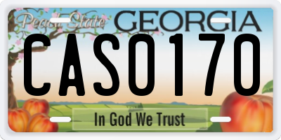 GA license plate CAS0170