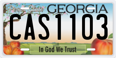 GA license plate CAS1103