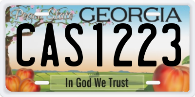 GA license plate CAS1223