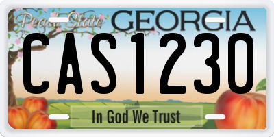 GA license plate CAS1230