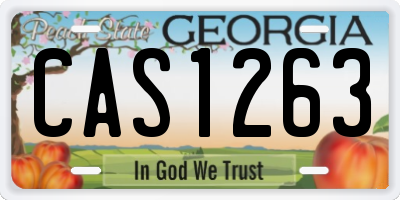 GA license plate CAS1263