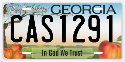 GA license plate CAS1291