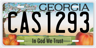 GA license plate CAS1293