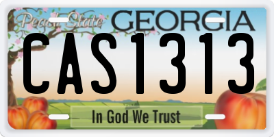 GA license plate CAS1313
