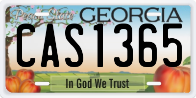 GA license plate CAS1365
