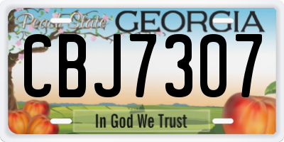GA license plate CBJ7307