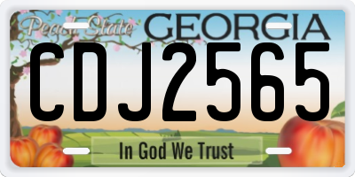 GA license plate CDJ2565
