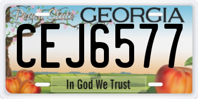 GA license plate CEJ6577