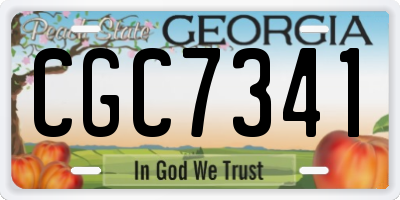 GA license plate CGC7341